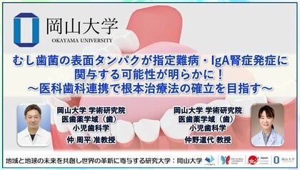 【岡山大学】むし歯菌の表面タンパクが指定難病・IgA腎症発症に関与する可能性が明らかに!~医科歯科連携で根本治療法の確立を目指す~