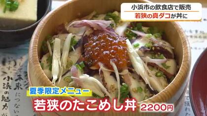 若狭の真ダコが丼に　小浜市の飲食店で夏季限定で提供
