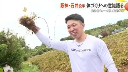 阪神 石井大智投手 読谷村「クーガ芋」畑訪れる 1日から宜野座キャンプイン