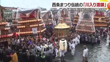 だんじりが加茂川で乱舞　西条まつり「川入り渡御」夕暮れに浮かぶ提灯と熱気の情景に魅了【愛媛】
