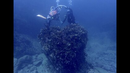 幸せを呼ぶ？神秘的な「ハートロック」も　ボートダイビングで海の魅力発信【島根発】
