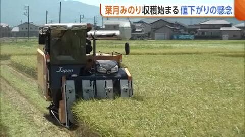 【コメ余り】民間在庫量は過去最大…『葉月みのり』の収穫始まるも“値下がり”懸念「生産者・消費者ともに納得できる価格帯に」新潟・柏崎市