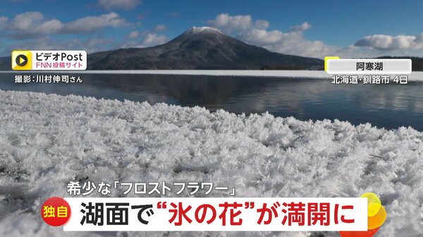 独自】まるでガラス細工…希少な自然現象「フロストフラワー」湖面で“氷