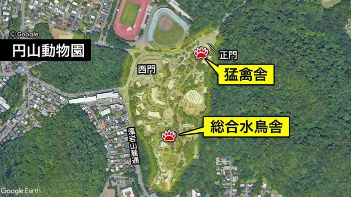 再び園内でクマの足跡が