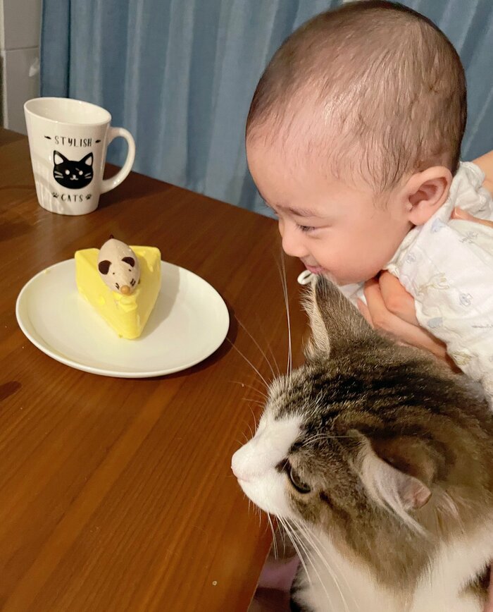 ネズミのケーキを狙う兄弟