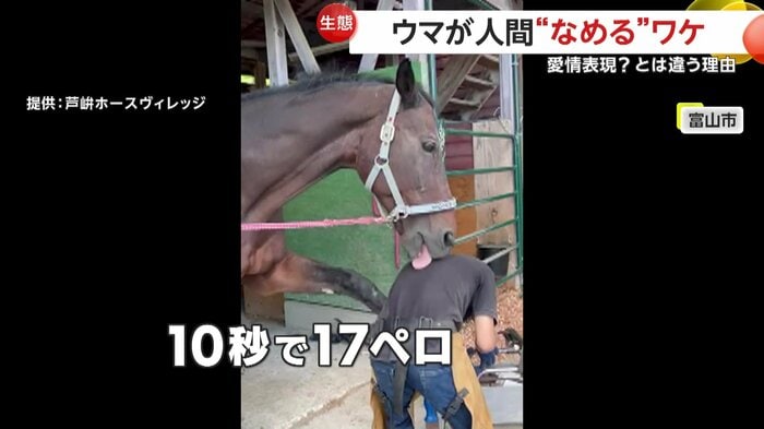 素早い舌使いを見せていたティーノ
