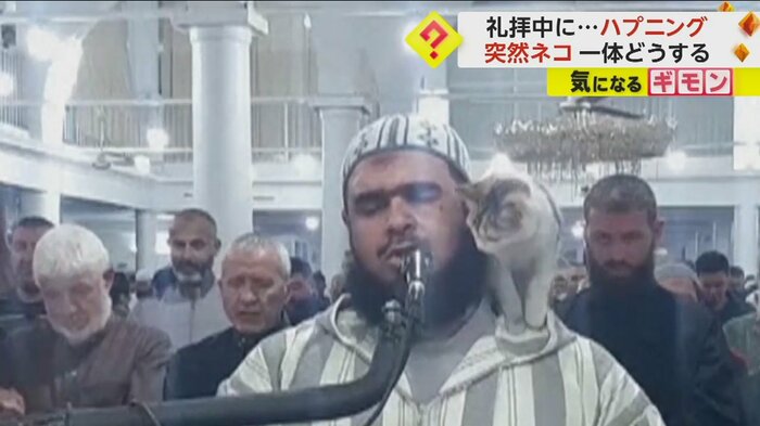 ネコを肩に乗せる指導者（The Official Page Of Sheikh Walid Mehsas）