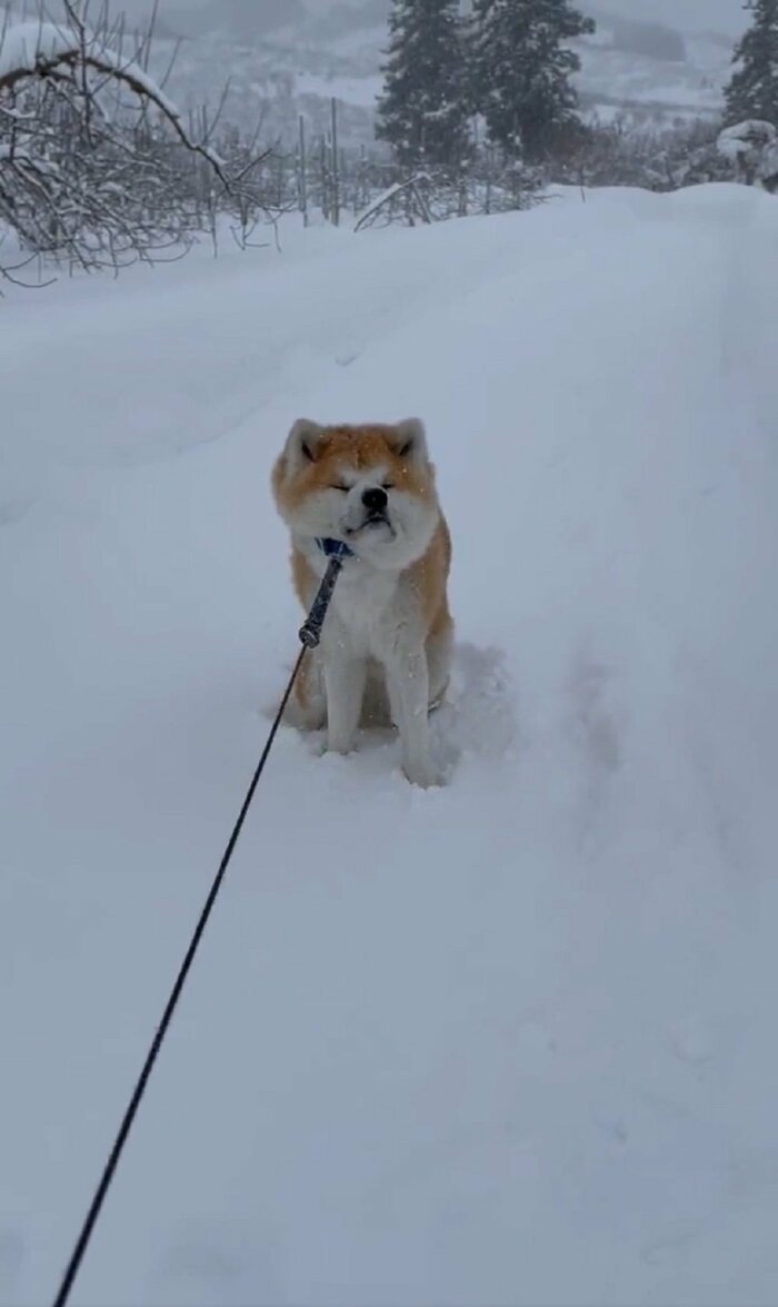 雪舞う中の攻防戦