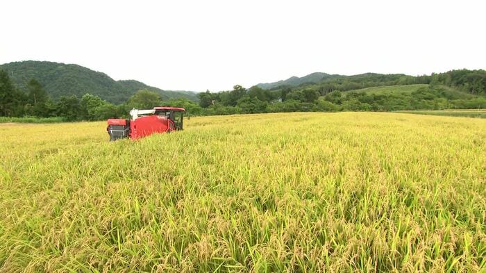 19ヘクタールの水田でブランド米の「えみまる」と「ゆめぴりか」を生産する中村寛郎さん