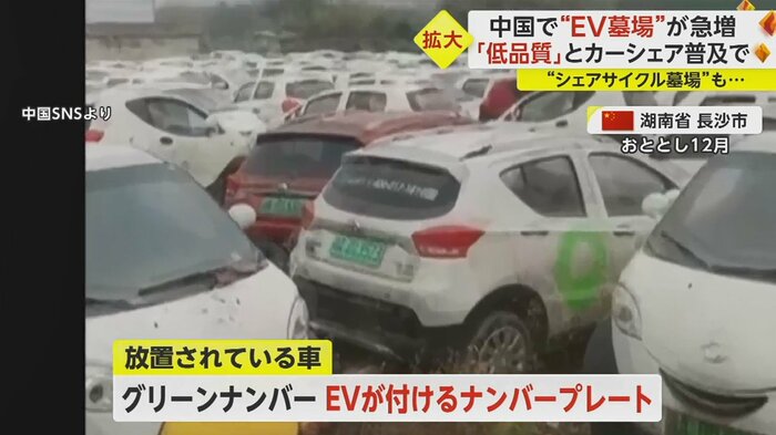 色によって区別されている