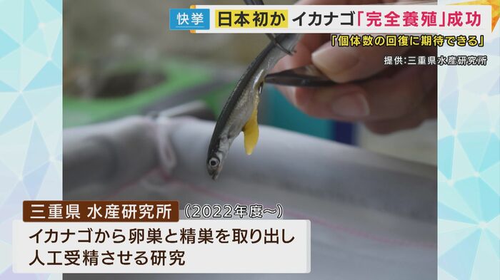 三重県水産研究所の研究