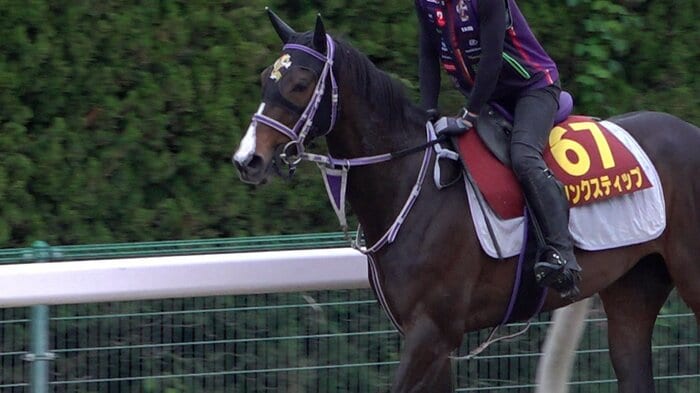 最終追い切りに臨むリンクスティップ