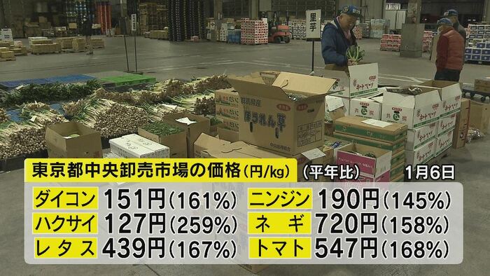 東京都中央卸売市場の価格(円/kg)平年比 1月6日