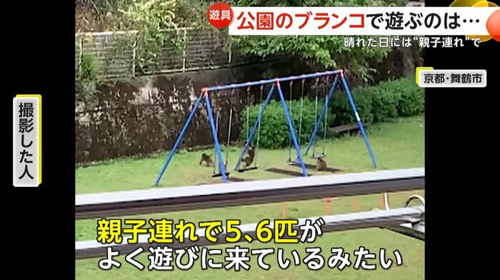 公園に現れたサル(FNN投稿サイト「ビデオPost」)