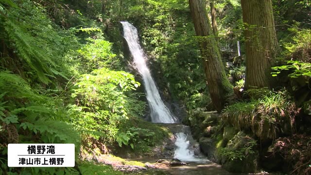 そうめん流しでひと時の涼 横野滝の静かな夏【岡山・津山市】