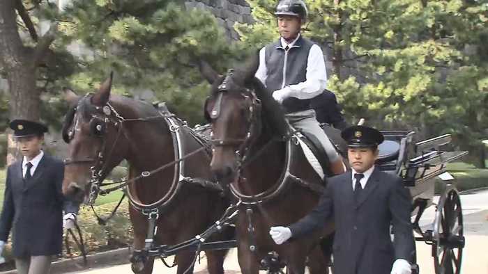 【独自】馬2頭を1人で驚きの手綱さばき 「親謁の儀」天皇陛下の乗られる馬車の練習に密着