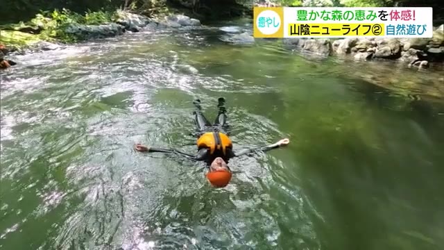 豊かな森の恵みを体感!密を避けるレジャー・シャワークライミングと森林セラピーが人気(島根)