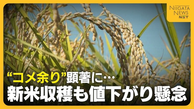 【コメ余り】新米収穫も在庫量“過去最大”で値下がり懸念「生産者・消費者が納得できる価格帯に」 資材も高騰する中“仮渡金”は去年を大きく下回る見通し|FNNプライムオンライン