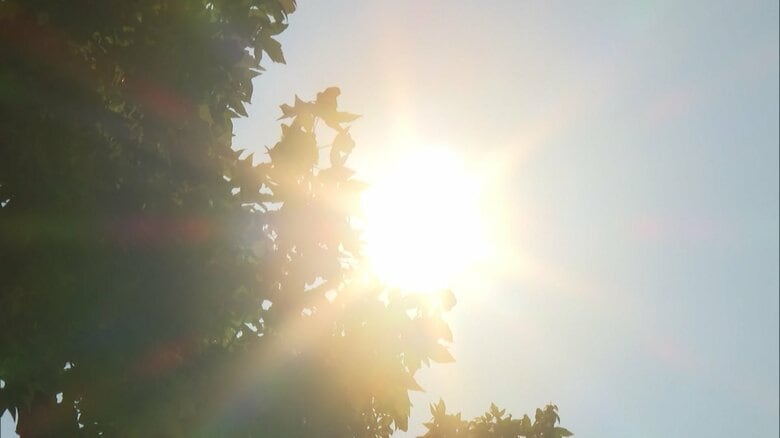 8月以降も全国的に暑い…気象庁が3カ月予報を発表　北日本は降水量多くなる見込みで東・西日本の日本海側などでは水不足に注意｜FNNプライムオンライン