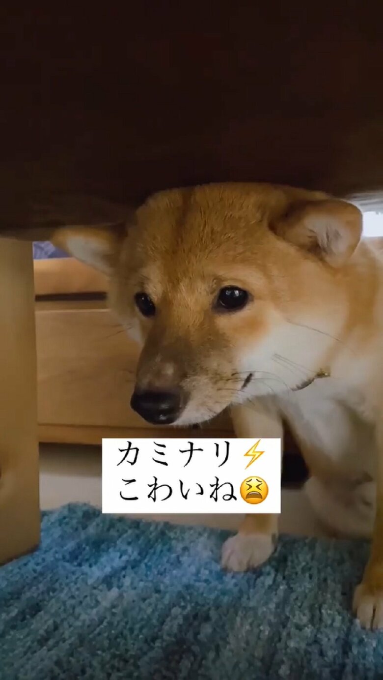 普段のヤンチャ坊主とは正反対の姿