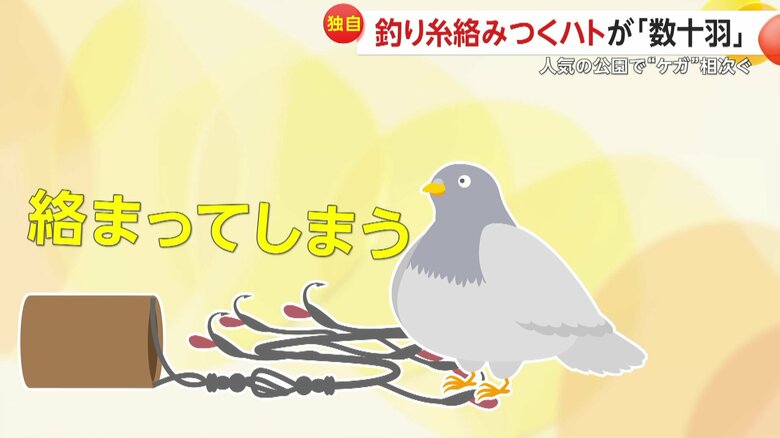 ハトに糸がからむ様子の再現イメージ