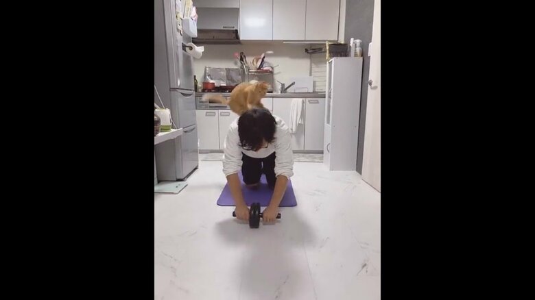 提供：たぬき&とらさん