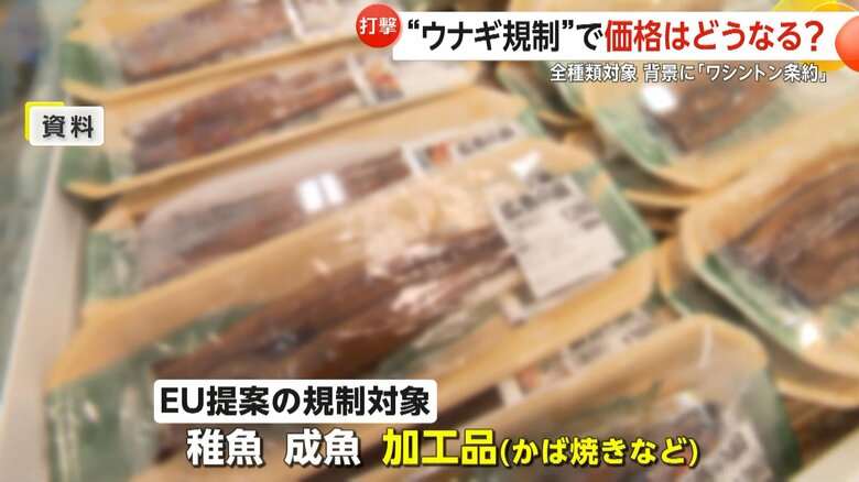 かば焼きなどの加工品も含まれているEU提案の規制対象
