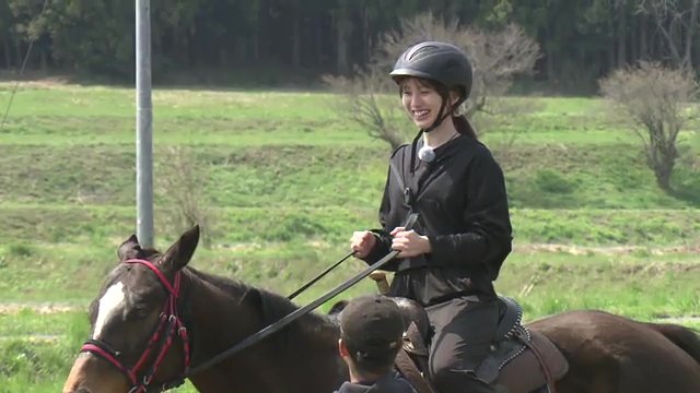 馬と過ごす癒しのひと時