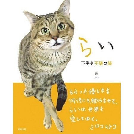 『らい 下半身不随の猫』（辰巳出版）