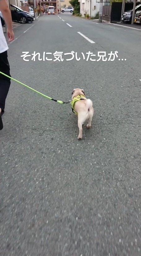 提供：たまごandおもちさん