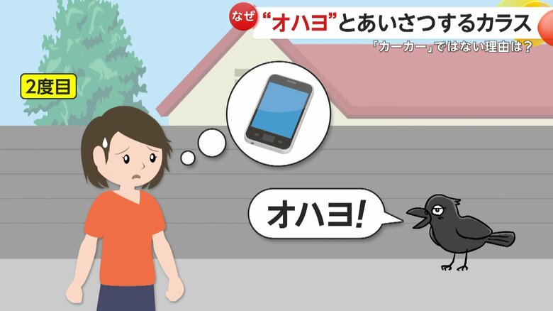 カメラを持っていなかったため撮影できなかった2度目の遭遇（イメージ画像）