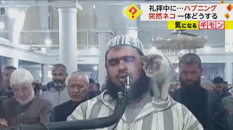 ネコを肩に乗せる指導者（The Official Page Of Sheikh Walid Mehsas）