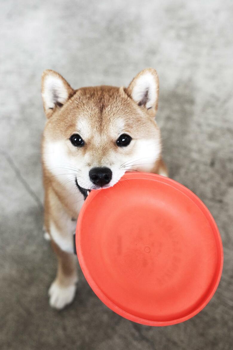 提供：エイトデザイン