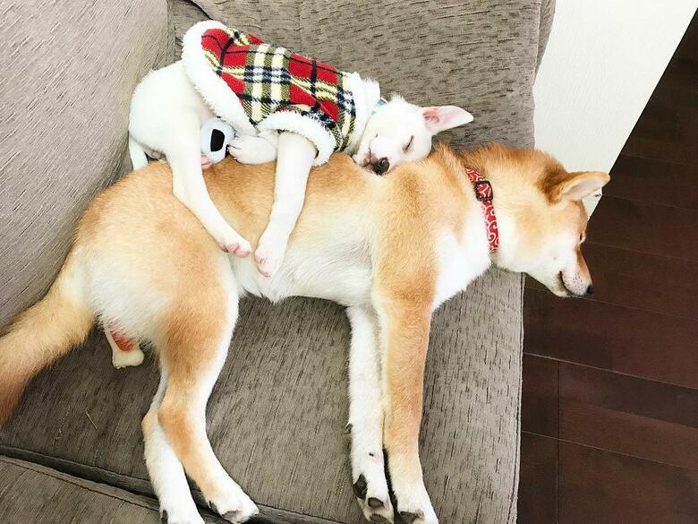 提供：橋本真実さん