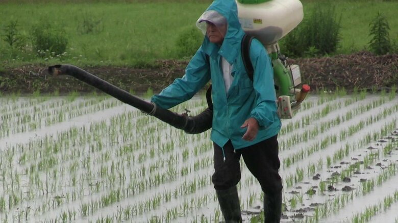薬剤散布の費用負担が農家を苦しめる