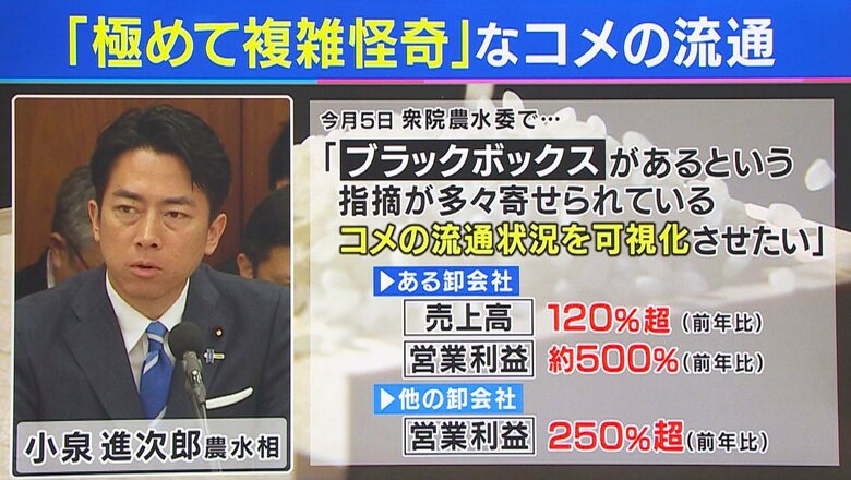 小泉農水相の発言