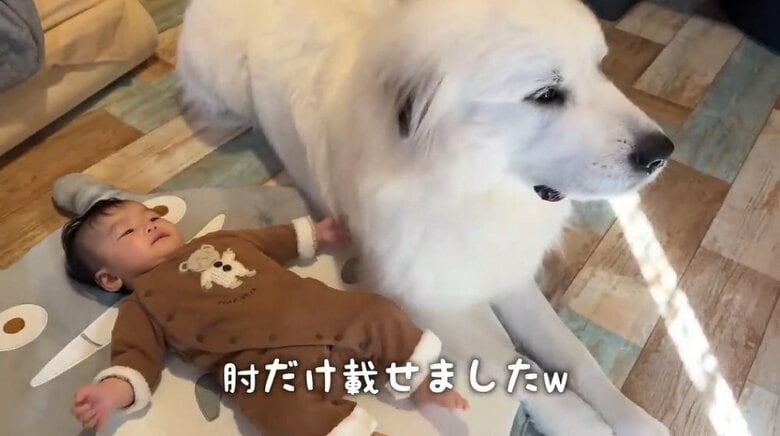 肘のみだけど一緒にベッドにのれました