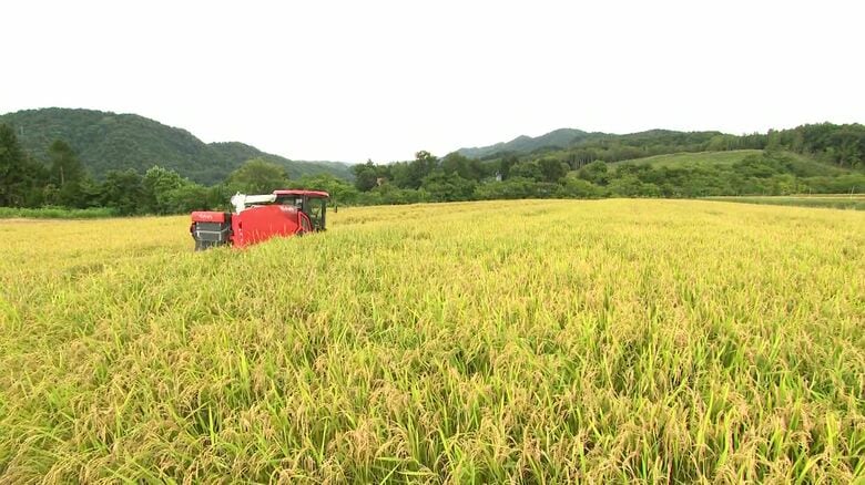 19ヘクタールの水田でブランド米の「えみまる」と「ゆめぴりか」を生産する中村寛郎さん