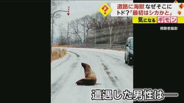 北海道湧別町の道路で撮影された映像