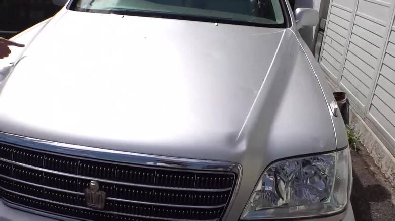 ひょうの被害の様子