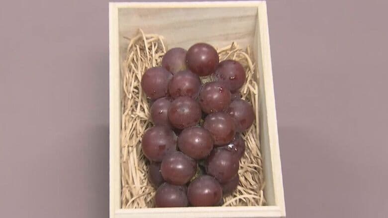 百貨店で限定販売された韓国産ルビーロマン