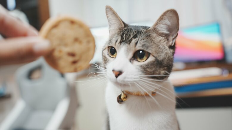 提供：ゆに＆メッシさん