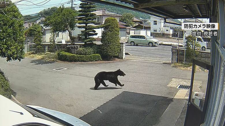 防犯カメラの映像（提供：視聴者）