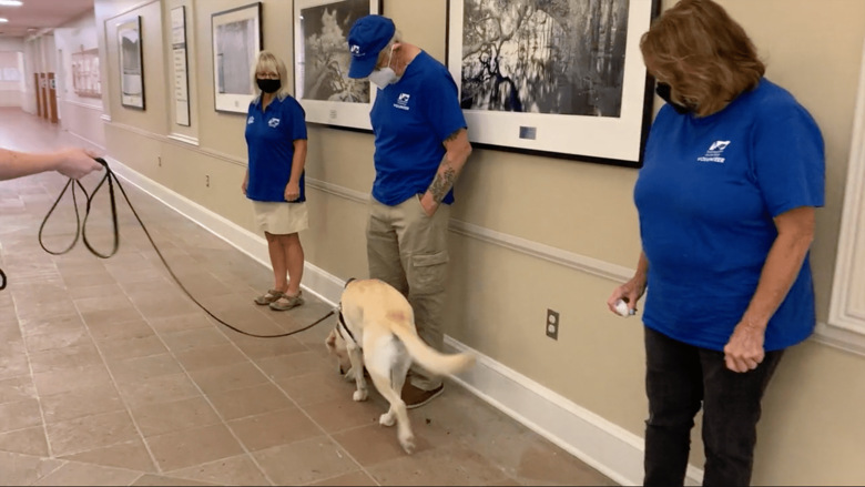 感染者判別の訓練を行うバフィ