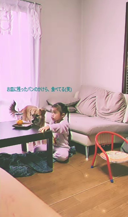 提供：kurumi-chiharuさん