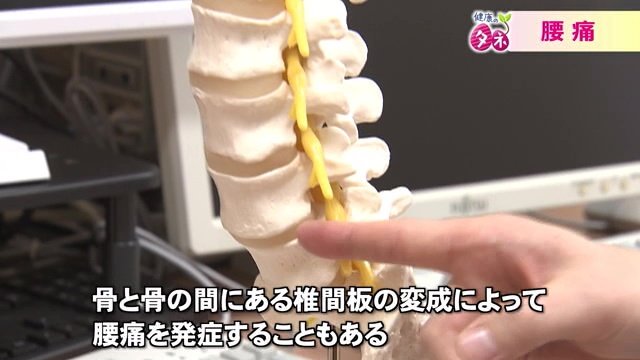 腰痛のメカニズム