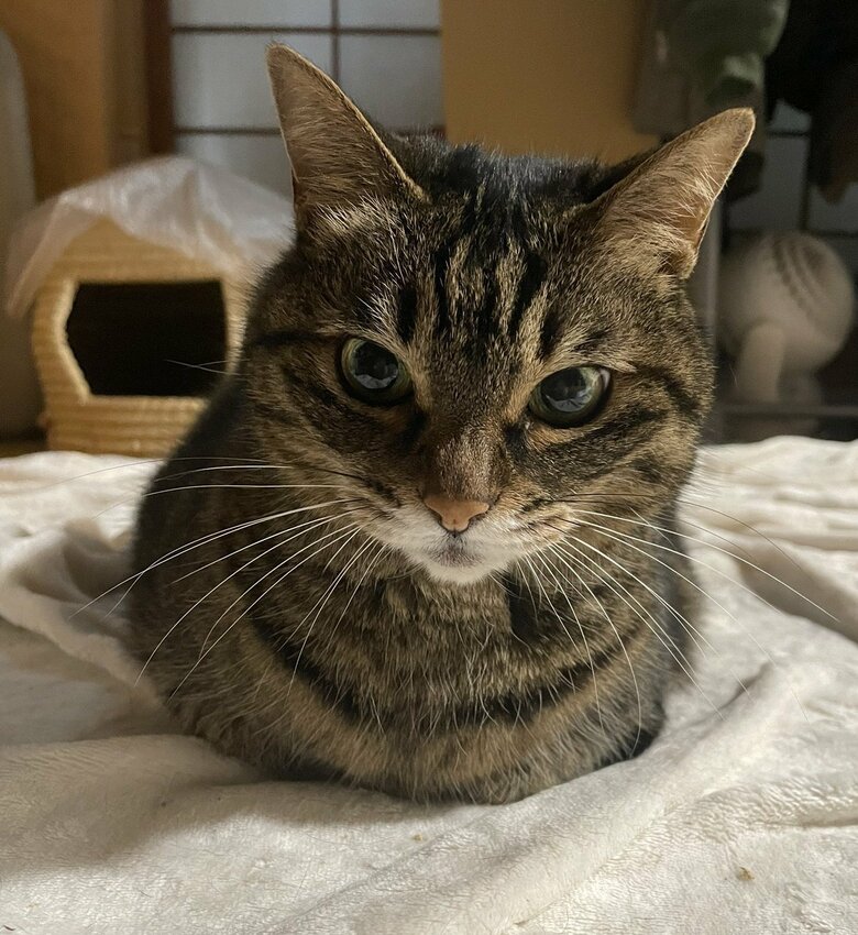 提供：えーさん