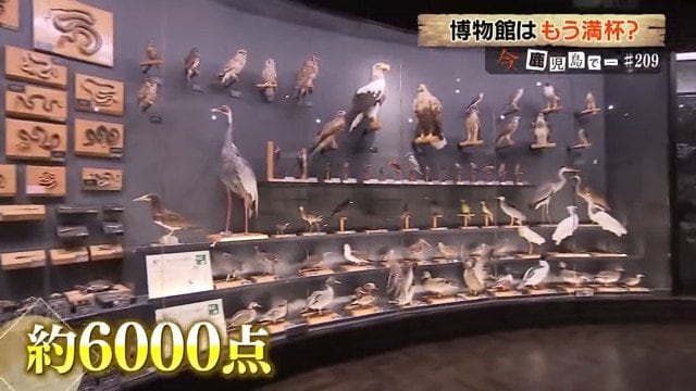 県立博物館（鹿児島市）
