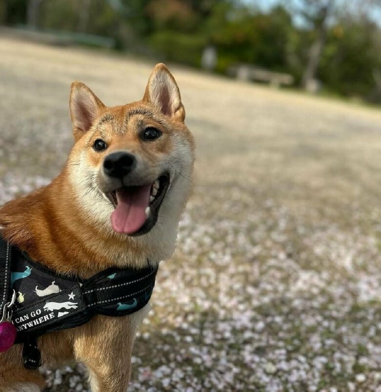 良い天気だね！