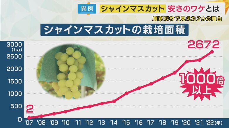シャインマスカットの生産量